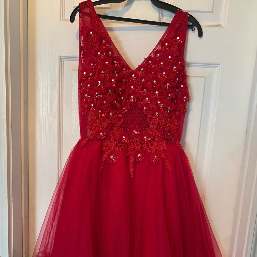 Red/Pink Formal Skater Dress